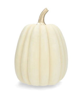 PUMPA DEKORATION OFF WHITE Ø20x28CM