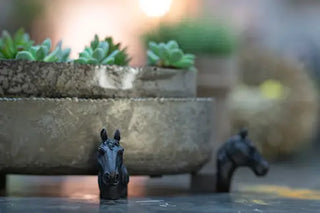 Krukfot Hästhuvud Svart