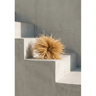 COSTER FEATHER BROOCH BEIGE