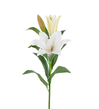 Lilja 90cm