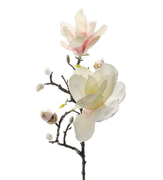 Magnolia Kvist Rosa 60cm