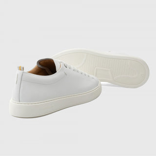 LEWIS Minimal Sneaker White