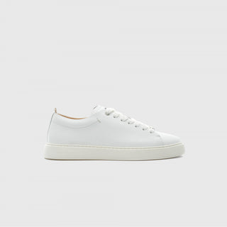 LEWIS Minimal Sneaker White