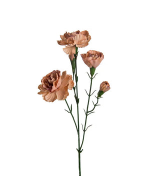 Konstgjord Elegance Nejlika Beige 65cm