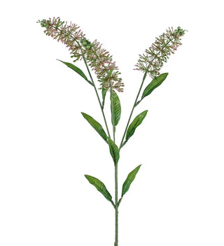 Astilbe 70CM rosa