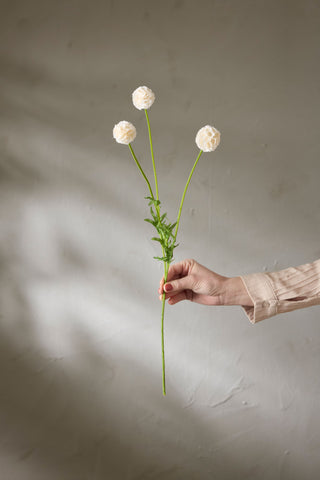 Konstgjord Scabiosa Champagne 60cm