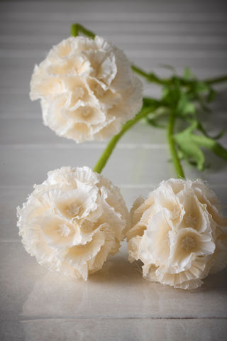 Konstgjord Scabiosa Champagne 60cm