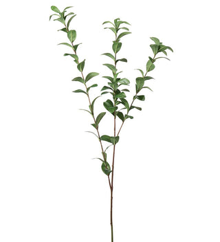 Konstgjord Grön Ruscus 110cm