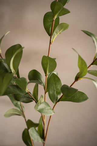 Konstgjord Grön Ruscus 110cm