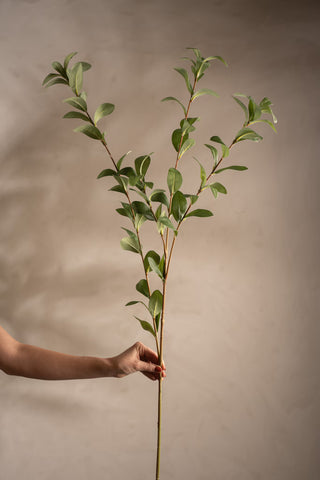 Konstgjord Grön Ruscus 110cm