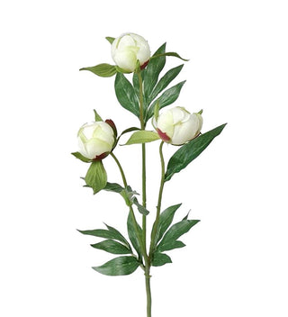 Pion VIT 45cm