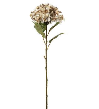 Konstgjord Hortensia Beige 110cm