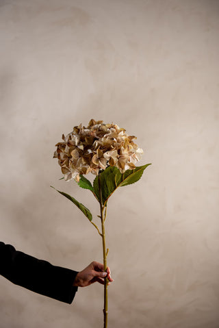 Konstgjord Hortensia Beige 110cm