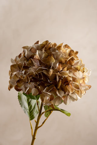 Konstgjord Hortensia Beige 110cm