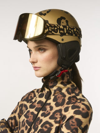GOLDBERGH AERO GOOGLE