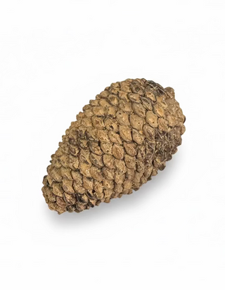 Dekoration Kotte 10cm