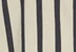 Pirate Stripe