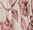 Pink Flower