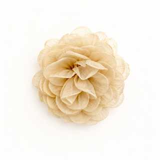 COSTER BROSH FLOWER